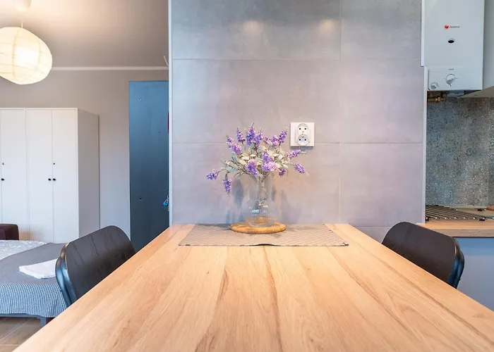 Centrum 32m2 - Przyjaciol Ziemi Klodzkiej - Spokoj, Cisza, Bliskosc Atrakcji Apartment Kłodzko